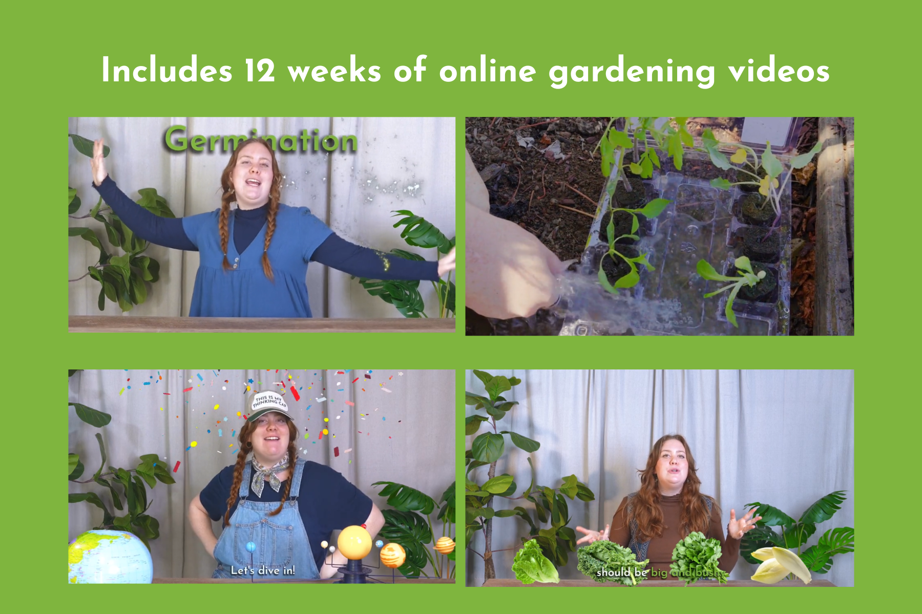 Plant Education Kit (Spring) - Elementary (Region 1)