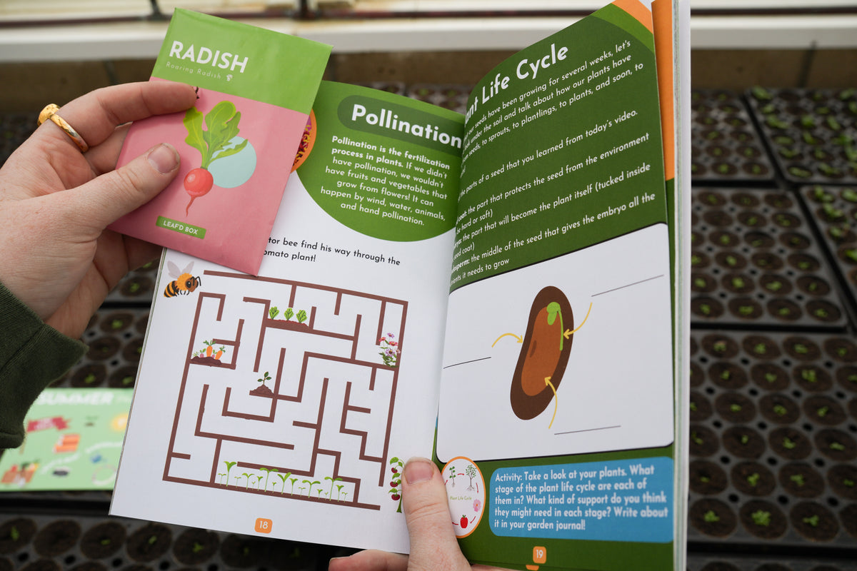 Small Plant Education Kit (Early Spring) - Middle/High (Region 4)