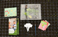 Small_Ed4.webp__PID:51e78461-096c-4f51-ac5b-193765a0f68f
