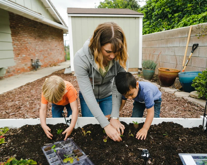 Small Plant Education Kit(Spring)-Middle/High (Region 1)