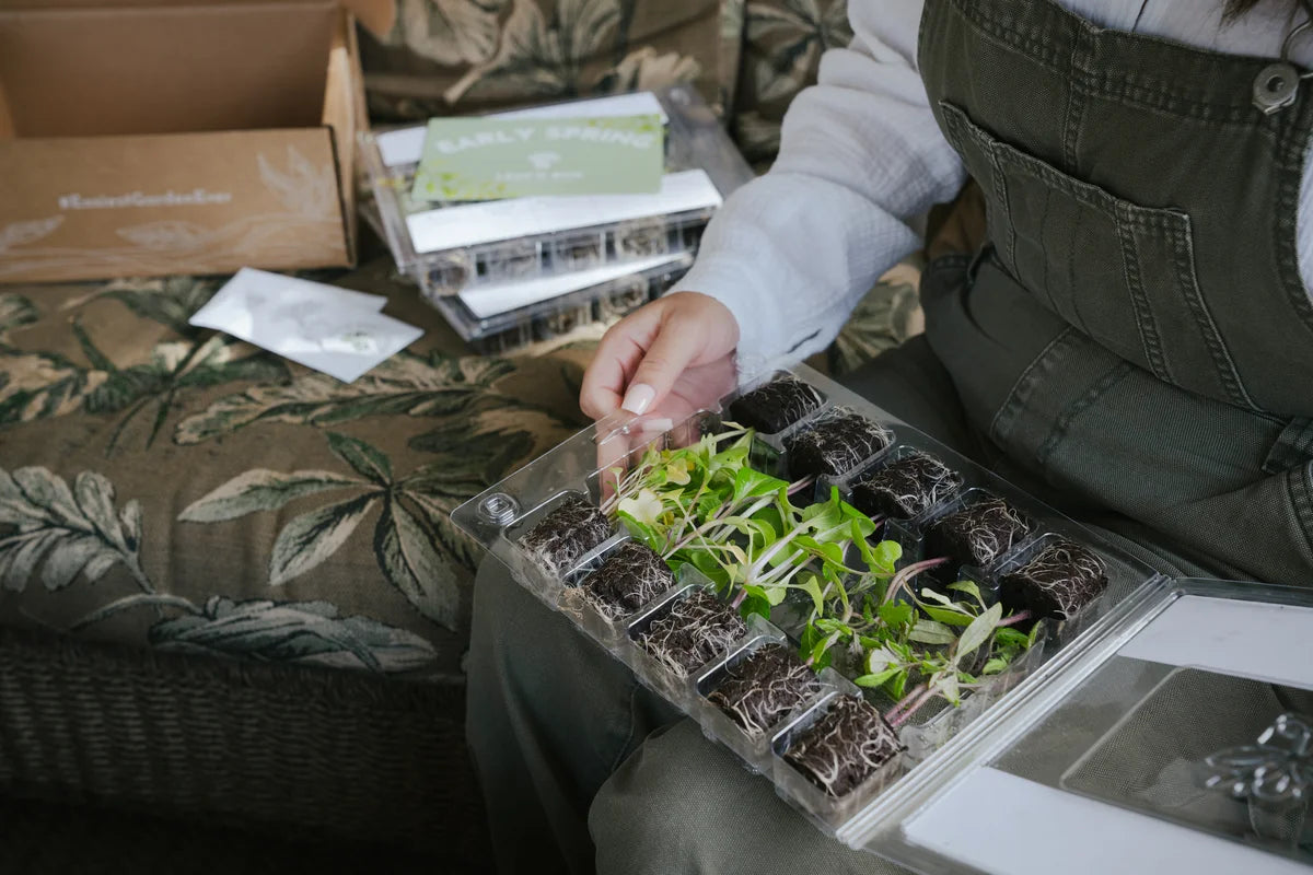 Indoor Hydroponic Tower Plant Refill