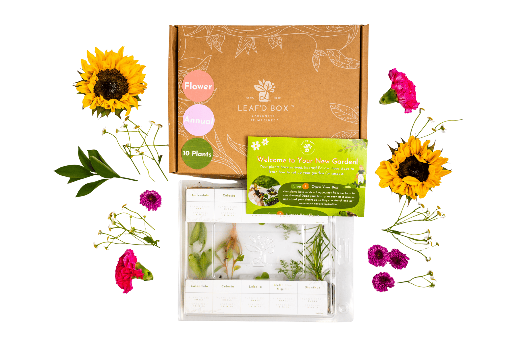 Small Flower Garden Seasonal Subscription