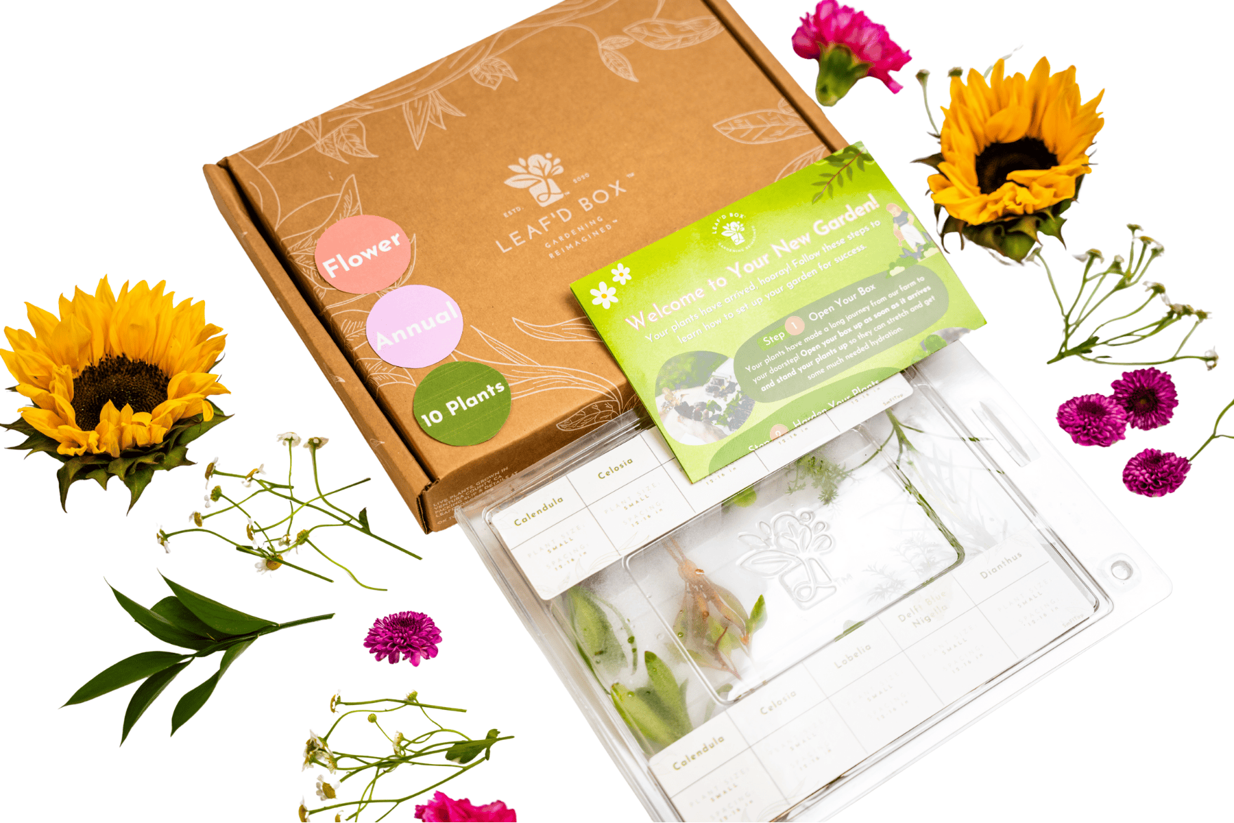 plant seed subscription box Small Flower Garden Seasonal Subscription