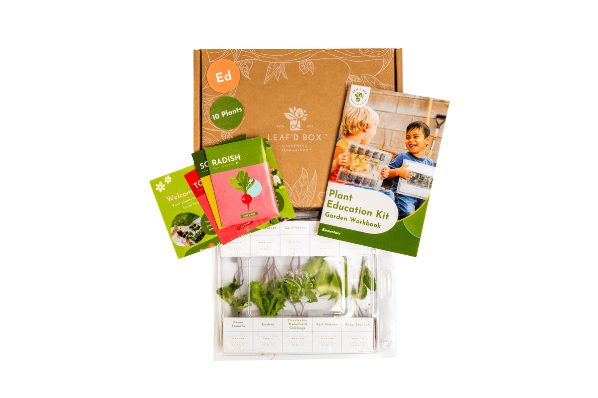 Small Plant Education Kit (Fall 2) - Elementary (Region 2)