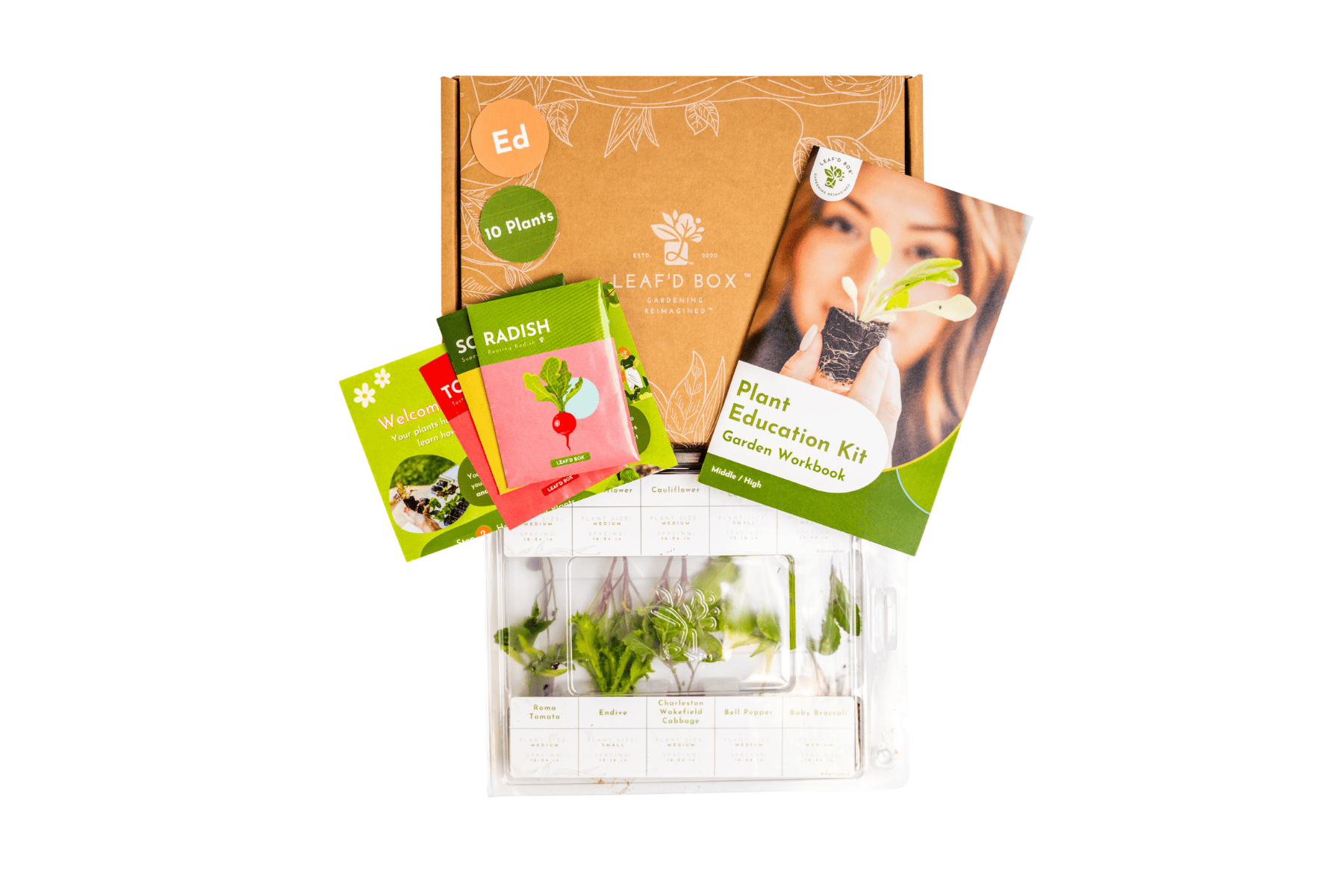 Small Plant Education Kit (Winter) - Middle/High (Region 4)