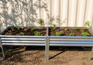 Two Elevated Garden Beds with Live Plantlings