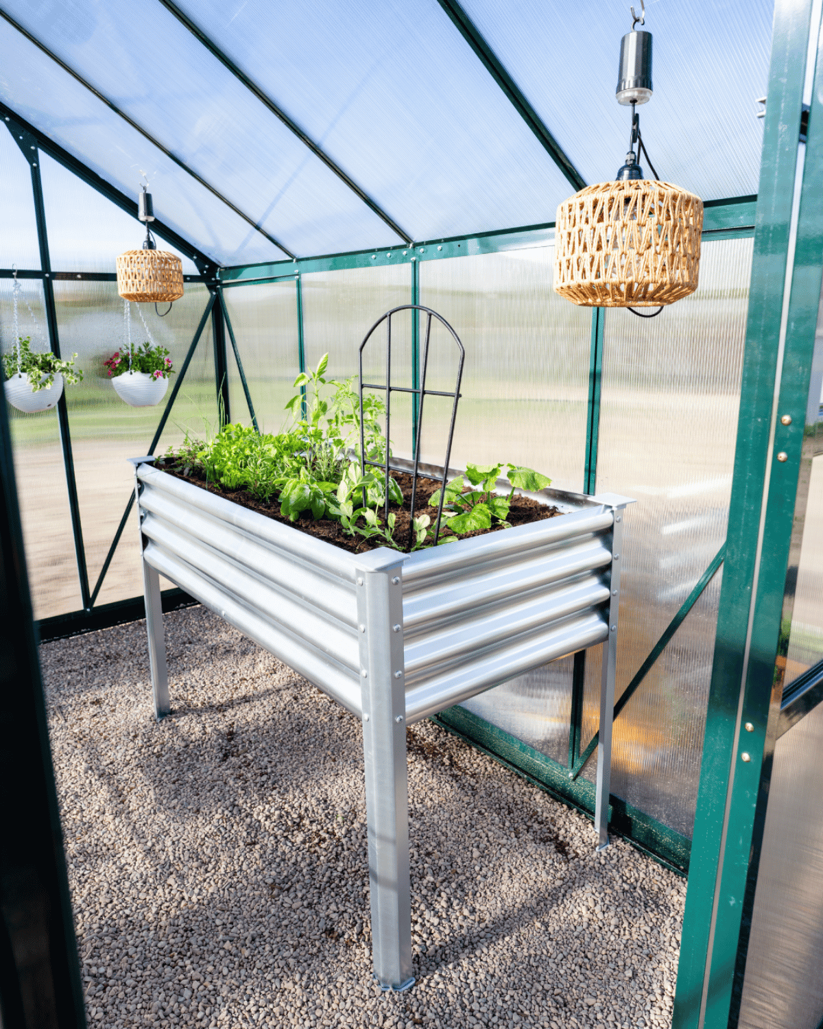 Two Elevated Garden Beds with Live Plantlings