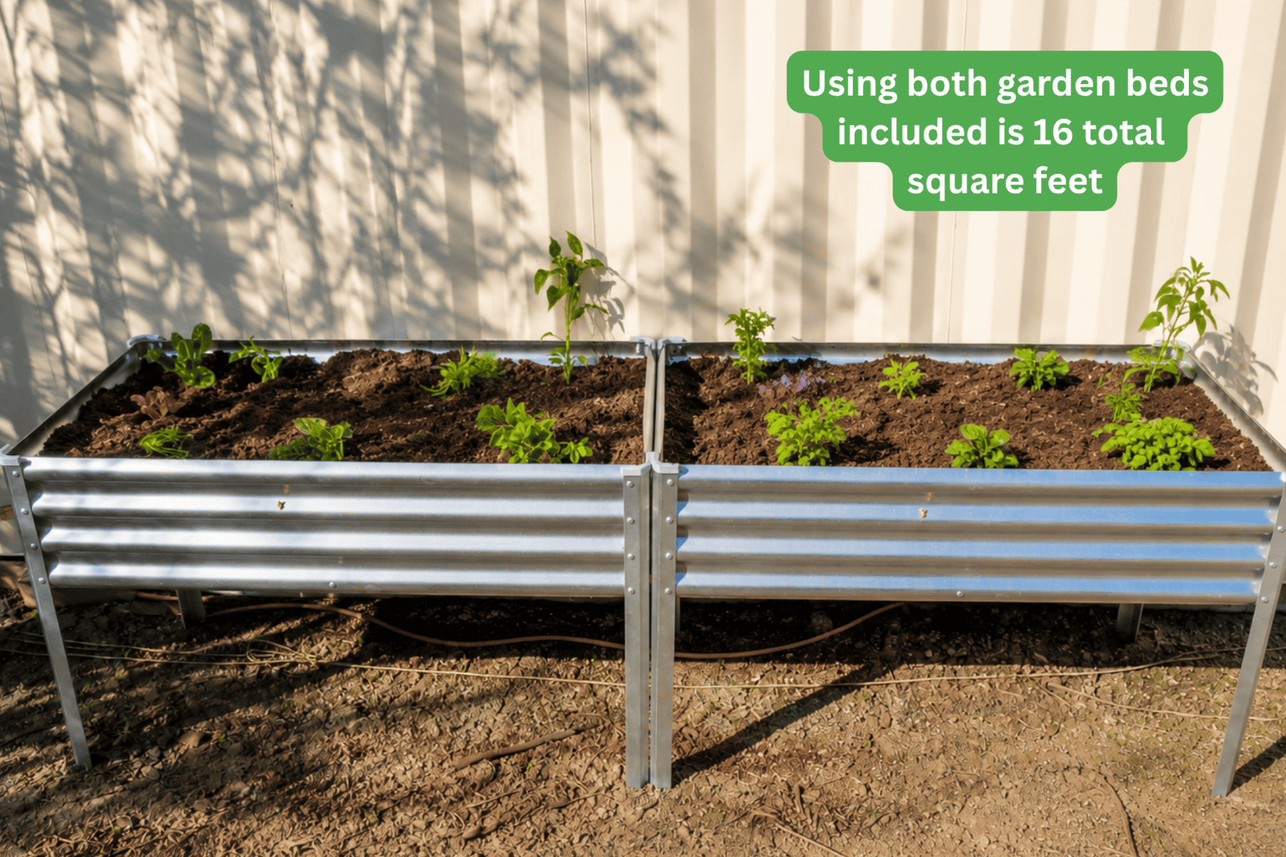 Two Elevated Garden Beds with Live Plantlings