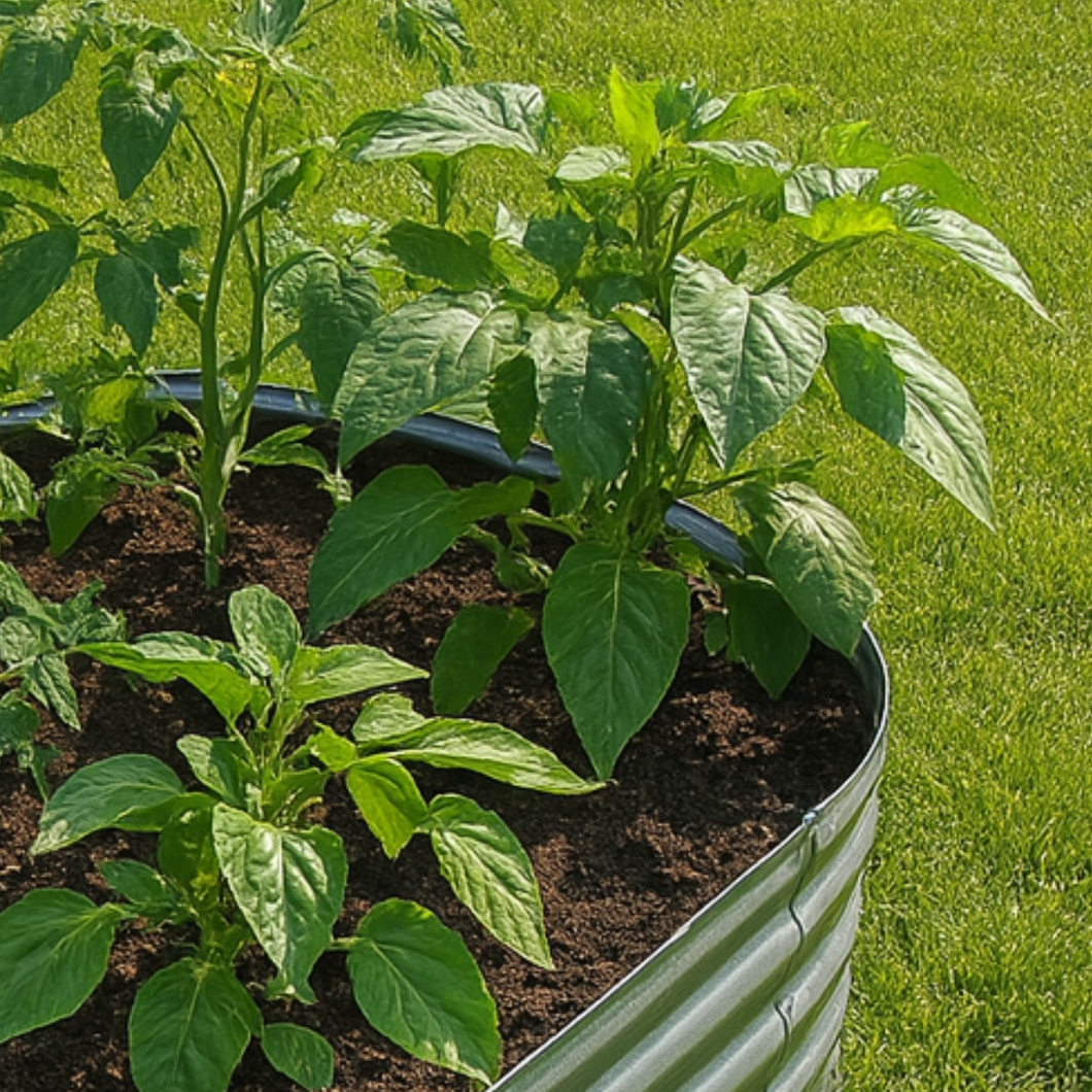 Garden Bed Plants (Region 3)