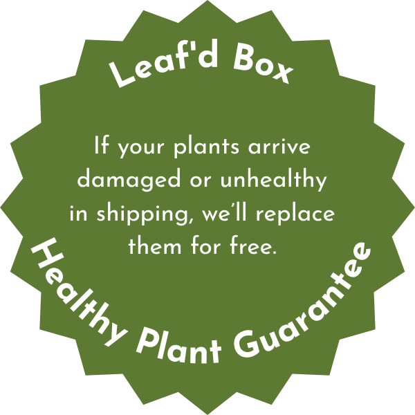 Healthy Plant Guarantee: If your plants arrive damaged or unhealthy, we’ll replace them for free.