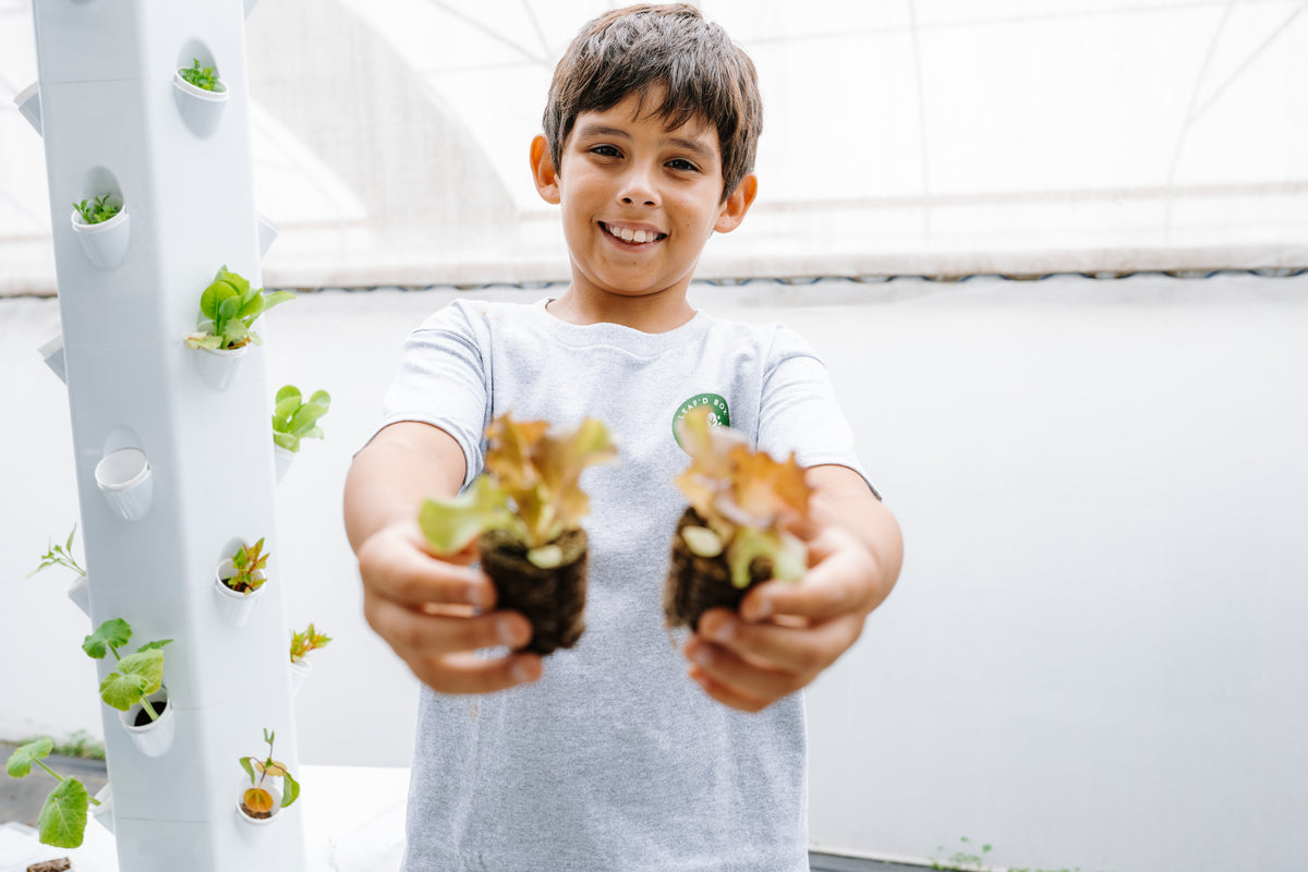Smiling child holding two seedlings beside a hydroponic tower in a greenhouse.