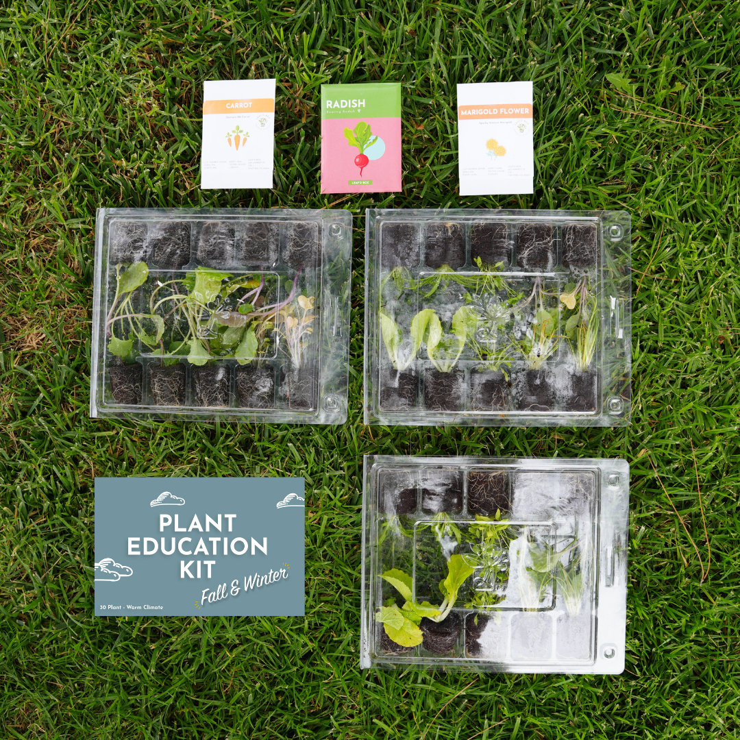 Plant Education Kit (Fall/Winter) - Elementary (Cold Climate)