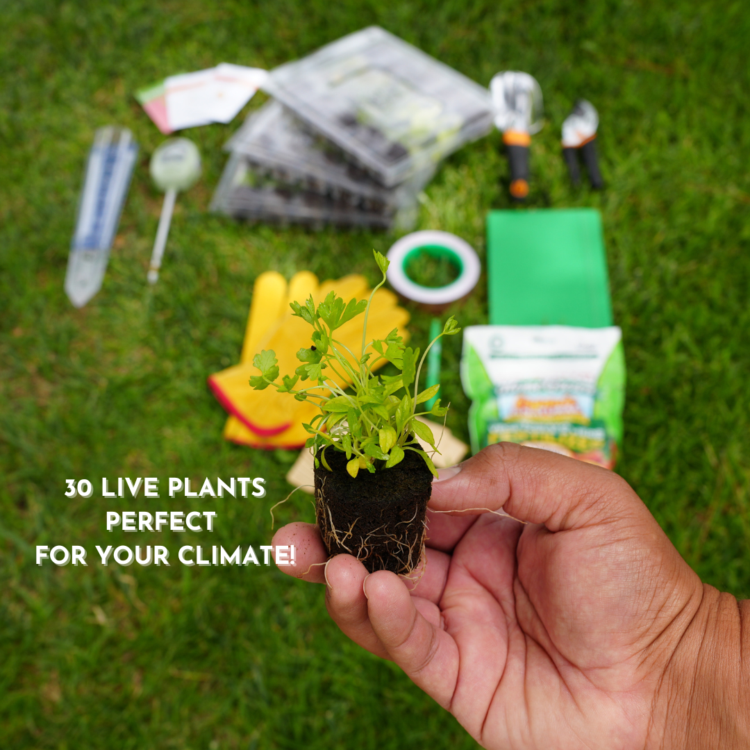 Plant Education Kit PLUS (Fall/Winter) - Elementary (Cold Climate)