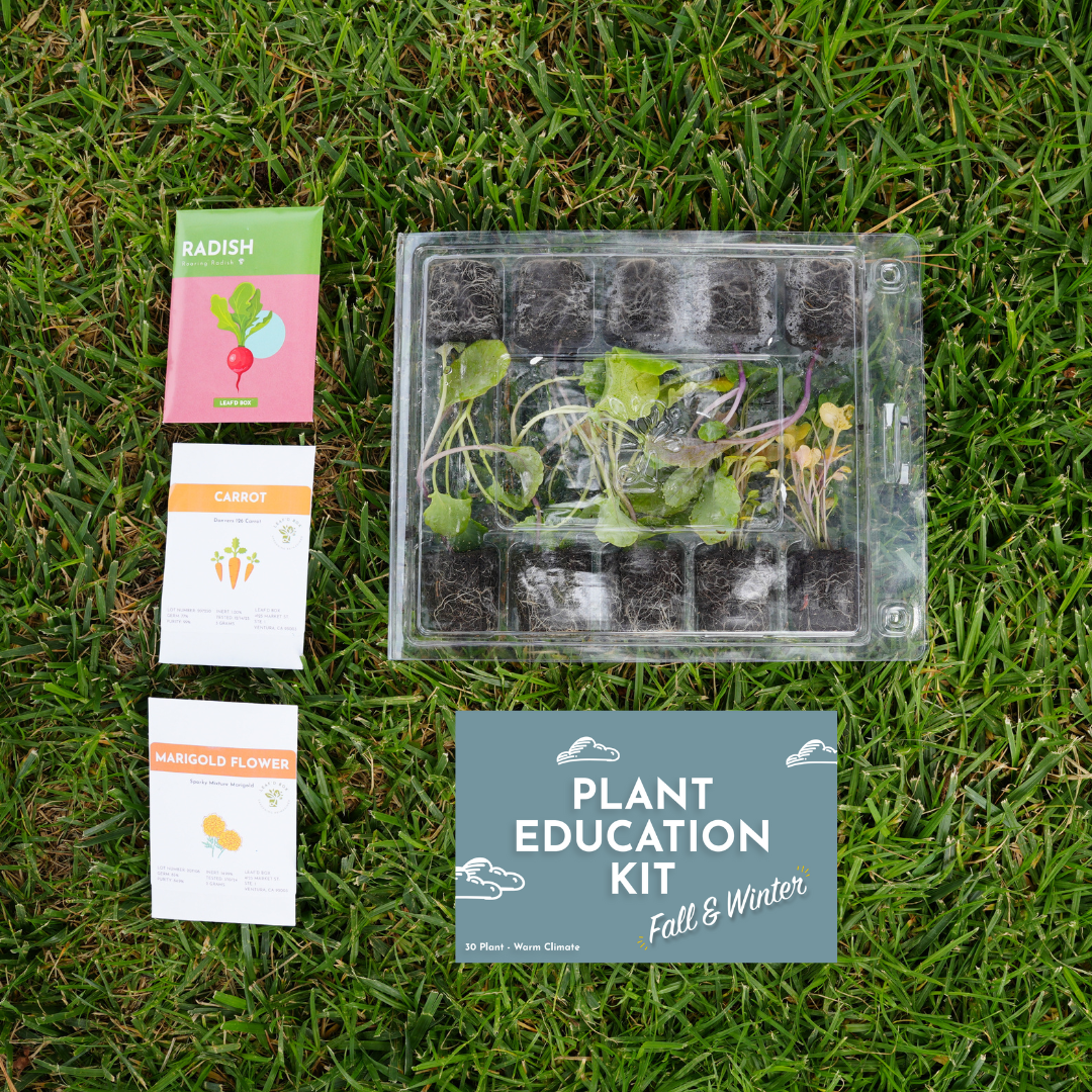 Small Plant Education Kit (Fall/Winter) - Elementary (Cold Climate)