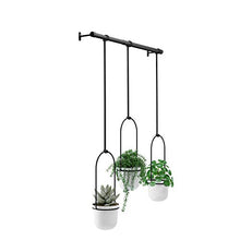Load image into Gallery viewer, Umbra 1011748-660 Triflora Hanging Planter for Window, Indoor Herb Garden, White/Black, Triple
