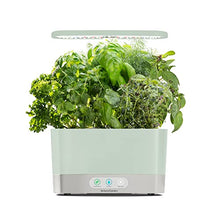 Load image into Gallery viewer, AeroGarden Harvest Indoor Garden Hydroponic System with LED Grow Light and Herb Kit, Holds up to 6 Pods, Sage
