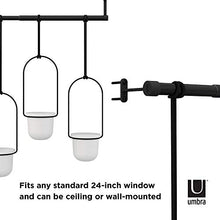 Load image into Gallery viewer, Umbra 1011748-660 Triflora Hanging Planter for Window, Indoor Herb Garden, White/Black, Triple
