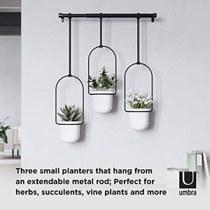 Umbra 1011748-660 Triflora Hanging Planter for Window, Indoor Herb Garden, White/Black, Triple