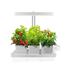 Load image into Gallery viewer, GrowLED LED Indoor Garden, Herb Garden, Kitchen Garden, Height Adjustable, Automatic Timer, 24V Low Safe Voltage, Ideal for Plant Grow Novice Or Enthusiasts, Various Plants, DIY Decoration, White

