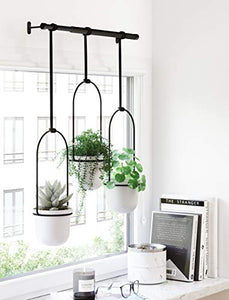 Umbra 1011748-660 Triflora Hanging Planter for Window, Indoor Herb Garden, White/Black, Triple