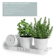 Load image into Gallery viewer, Barnyard Designs Herb Pot Planter Set with Tray for Indoor Garden or Outdoor Use, Decorative White Metal Succulent Potted Planters for Kitchen Windowsill, (Set of 3, 4.25” x 4” Planters on 12.5” x 4”
