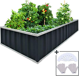 KING BIRD Extra-Thick 2-Ply Reinforced Card Frame Raised Garden Bed Galvanized Steel Metal Planter Kit Box Green 68"x 36"x 12" with 8pcs T-Types Tag & 2 Pairs of Gloves (Grey)