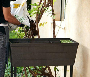 Keter Urban Bloomer 22.4 Gallon Raised Garden Bed with Self Watering Planter Box and Drainage Plug, Anthracite