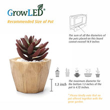 Load image into Gallery viewer, GrowLED Plant Grow Light LED Indoor Garden Light, Kitchen Garden with Timer Function, 24V Low Safe Voltage, Ideal for Plant Grow Novice Or Enthusiasts, Various Plants, DIY Decoration, White Grow Light
