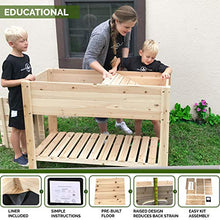 Load image into Gallery viewer, Cedar Raised Planter Box with Legs – Elevated Wood Raised Garden Bed Kit – Grow Herbs and Vegetables Outdoors – Naturally Rot-Resistant - Unmatched Strength Lasts Years (4x2) by Boldly Growing
