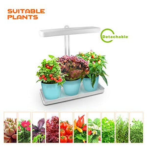 GrowLED LED Indoor Garden, Herb Garden, Kitchen Garden, Height Adjustable, Automatic Timer, 24V Low Safe Voltage, Ideal for Plant Grow Novice Or Enthusiasts, Various Plants, DIY Decoration, White