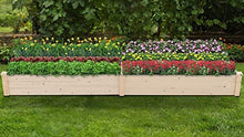 Load image into Gallery viewer, Patiomore 8 Feet Outdoor Wooden Garden Bed Planter Box Kit for Vegetables Fruits Herb Grow Yard Gardening, Natural
