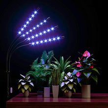 Load image into Gallery viewer, FRENAN Grow Light with Stand, for Indoor Plants with Red Blue Spectrum, 10 Dimmable Brightness, 4/8/12H Timer, 3 Switch Modes, Adjustable Gooseneck, Suitable for Various Plants Growth
