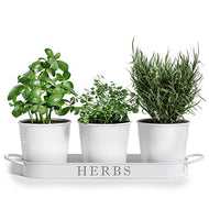 Barnyard Designs Herb Pot Planter Set with Tray for Indoor Garden or Outdoor Use, Decorative White Metal Succulent Potted Planters for Kitchen Windowsill, (Set of 3, 4.25” x 4” Planters on 12.5” x 4”