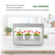 Load image into Gallery viewer, GrowLED Plant Grow Light LED Indoor Garden Light, Kitchen Garden with Timer Function, 24V Low Safe Voltage, Ideal for Plant Grow Novice Or Enthusiasts, Various Plants, DIY Decoration, White Grow Light
