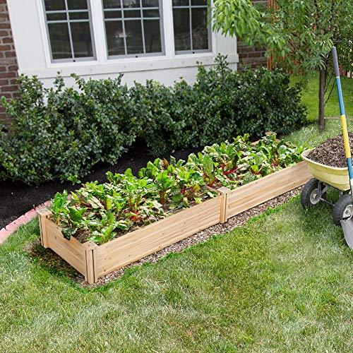 Raised Vegetable Garden Kits