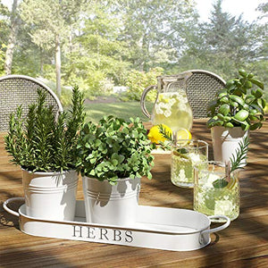 Barnyard Designs Herb Pot Planter Set with Tray for Indoor Garden or Outdoor Use, Decorative White Metal Succulent Potted Planters for Kitchen Windowsill, (Set of 3, 4.25” x 4” Planters on 12.5” x 4”