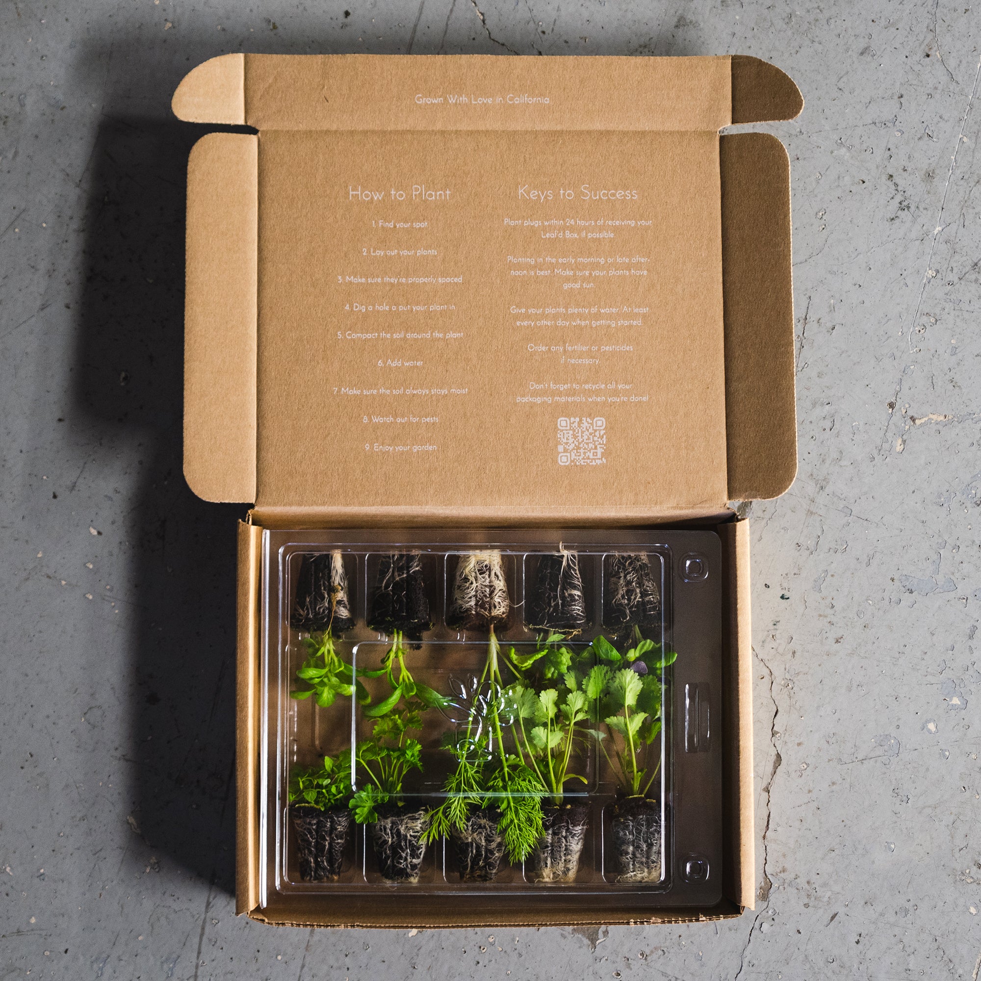 Leaf Boxes One Time Boxes – Leaf'd Box