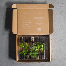 Load image into Gallery viewer, Seasonal Vegetable Garden Kit
