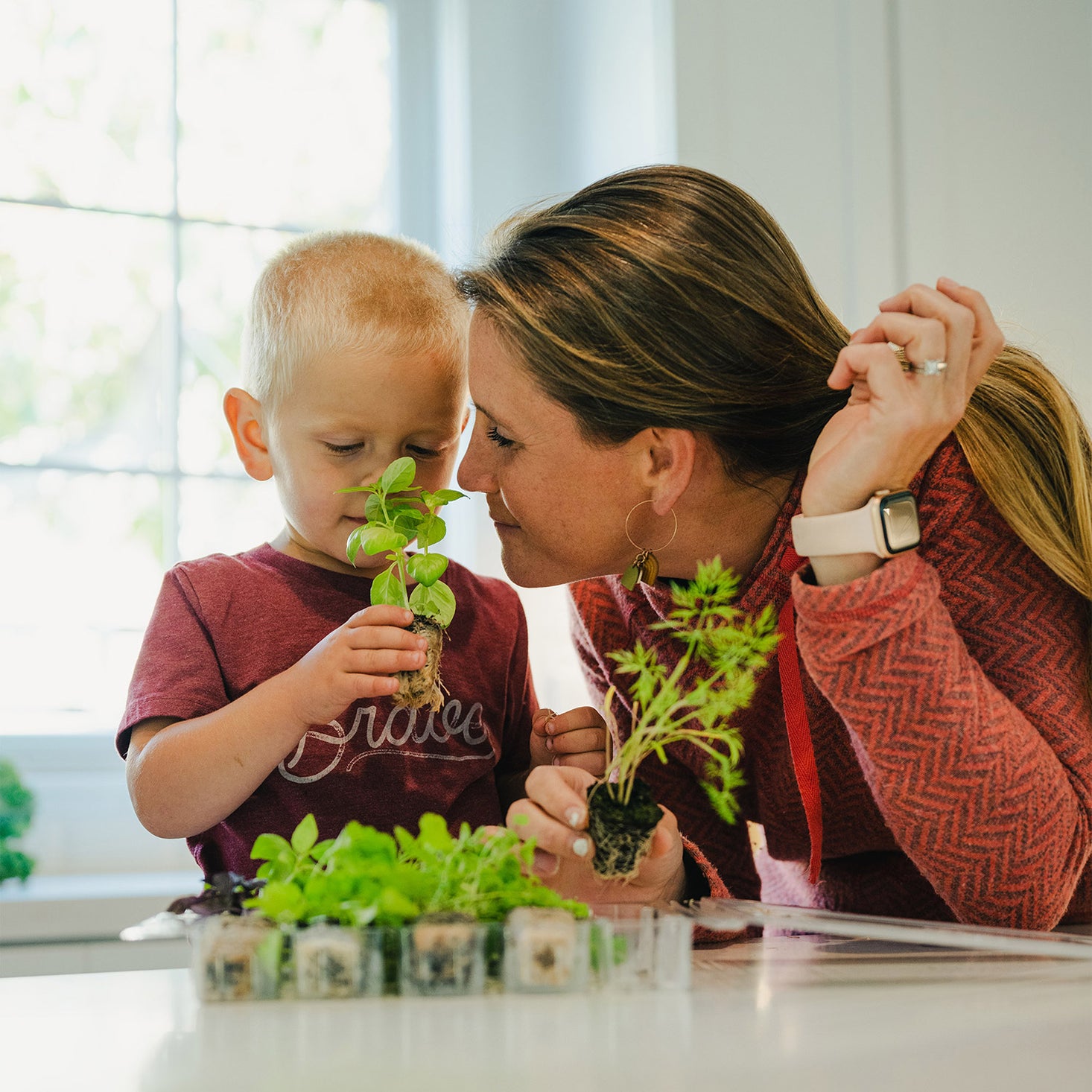 Herb Garden Seasonal Subscription