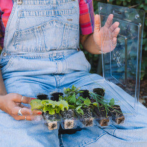 Small Veggie Garden Seasonal Subscription