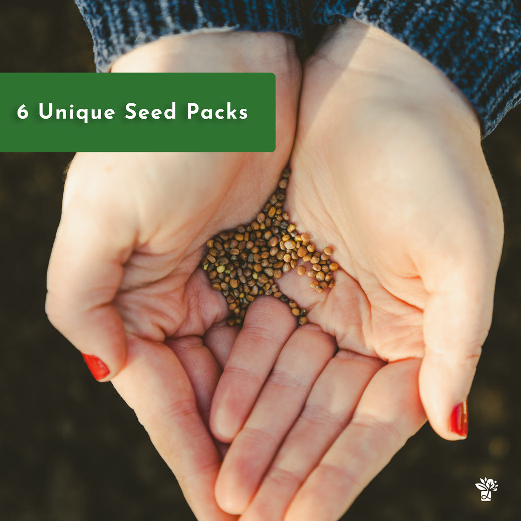 Herb Gardening Education Seed Kit
